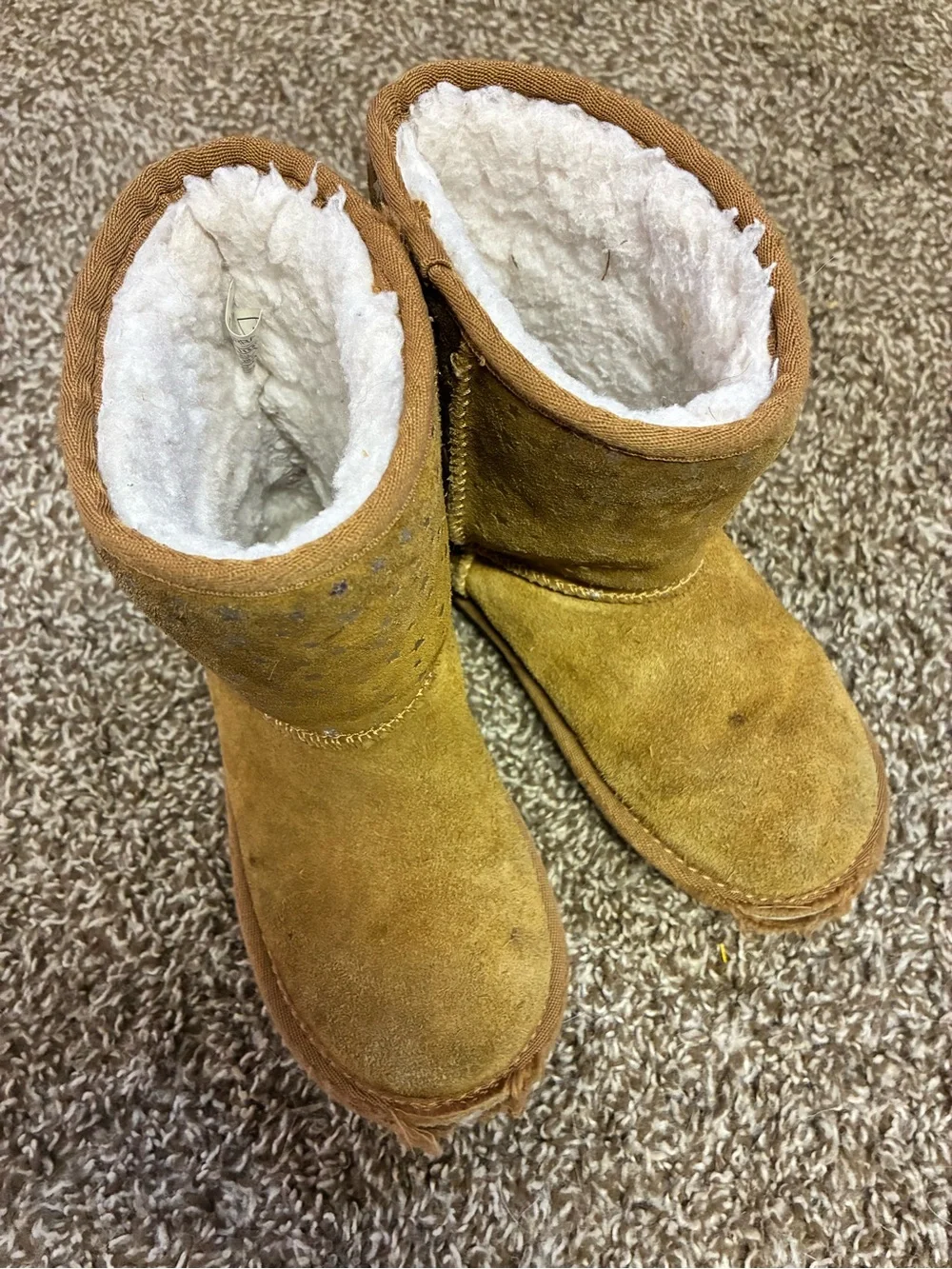 Koolaburra soft shearling